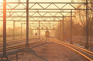 Rails ensoleillés sur Sander van der Werf