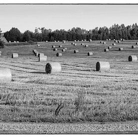 Country side Lithuania van Arnold van der Borden