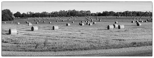 Country side Lithuania