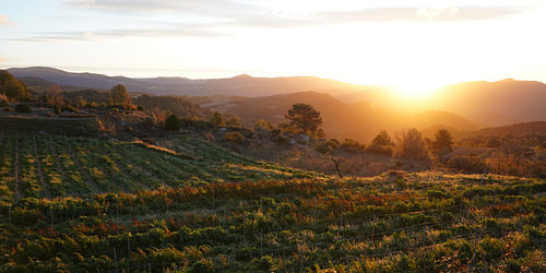Sonnenaufgang im Priorat