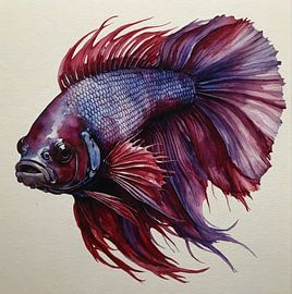(Betta splendens) Siamese damselfish by Brian Morgan