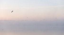 Ochtend Mist Over Meer von WvH