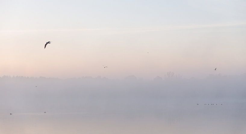 Ochtend Mist Over Meer van WvH