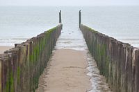 paalhoofden strand Dishoek