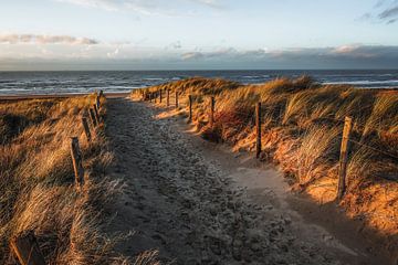 Duin, strand en zee aan de Hollandse kust van Dirk van Egmond