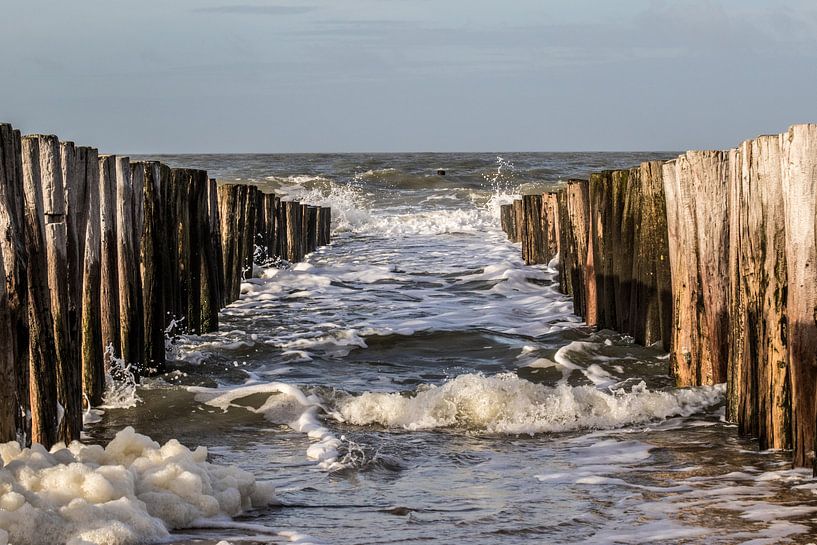 zee en mensenwerk by a schotanus