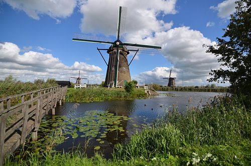 Molen met een oer-Hollandse lucht in Kinderdijk