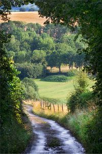 Blick auf Limburg