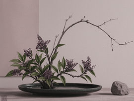 Gelassenes Stillleben: Ikebana mit violetten Blumen