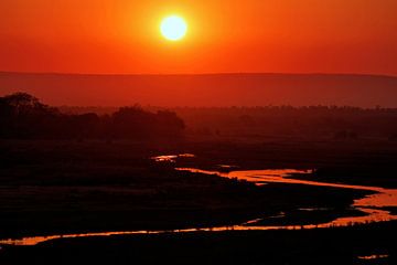 Zonsopgang in Kruger National Park Zuid-Afrika