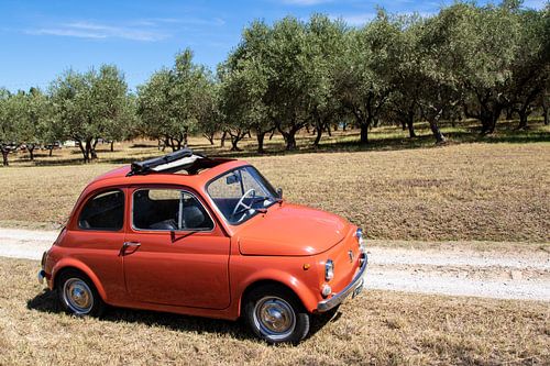 Fiat 500 in olijfgaard (1)