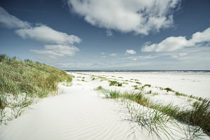 Spiekeroog I