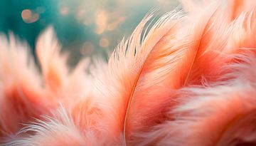 Soft feather with orange colour by Mustafa Kurnaz