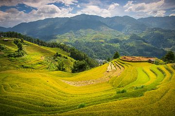 The breathtaking rice fields of Mu Cang Chai, Vietnam by Antwan Janssen