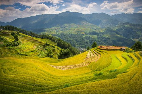 De adembenemende rijstvelden van Mu Cang Chai, Vietnam