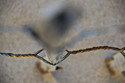 Detail van wind hek op Maasvlakte strand