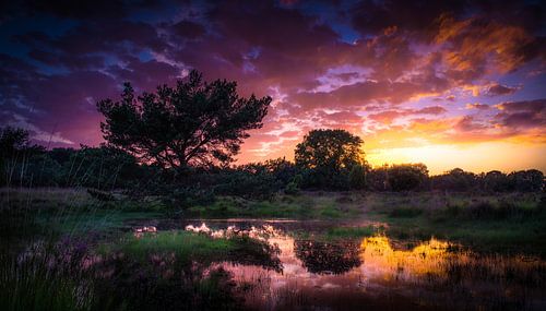 Zonsondergang op het Buurserzand