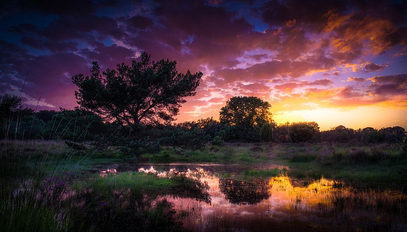 Zonsondergang op het Buurserzand van Martijn van Steenbergen