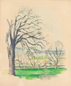 Abgernteter Baum am Jas de Bouffan
