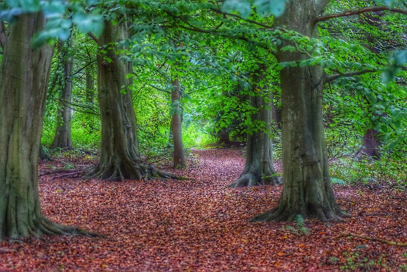Herfst op de grond, zomer in de takken. von Mariska Brouwenstijn