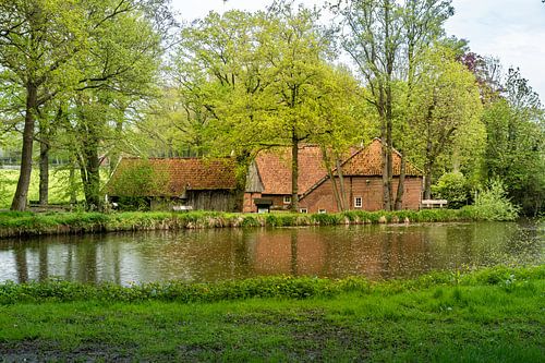 Molen van Frans, achterzijde