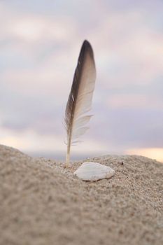 Ostsee Strand