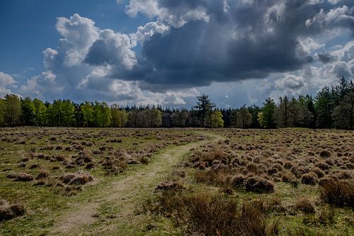 Grafheuvels op Heideveld in Drenthe met Dynamische Wolkenlucht