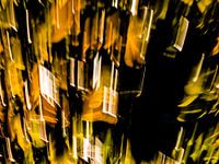 EVEIL DU PRINTEMPS # 43