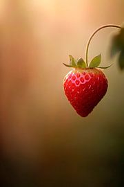 Erdbeere Natur von Poster Art Shop