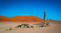 Dood hout in de Dode Vallei in de Namib woestijn van Rietje Bulthuis thumbnail