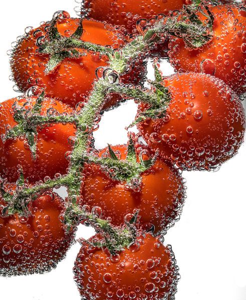 Sparkling tomatoes by mike van schoonderwalt