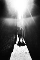 Wandeling naar het licht