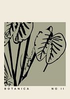 Botanica-lijn nr. 47