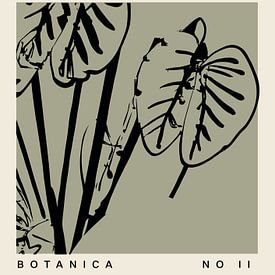 Botanica-lijn nr. 47 van Treechild