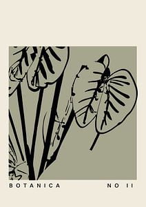 Botanica Line No 47
