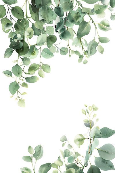 Eucalyptus cascade by Poster Art Shop