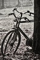 fietsen