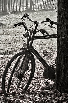 fietsen