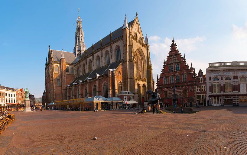 Cathedral Grote Bavo  Kerk Haarlem Holland van Brian Morgan