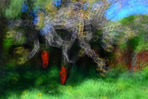 FORÊT DES CONTES 19