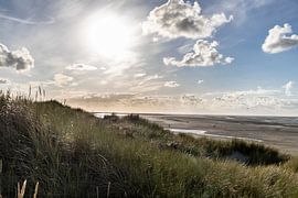 Strand Ameland van Lisa Mulder