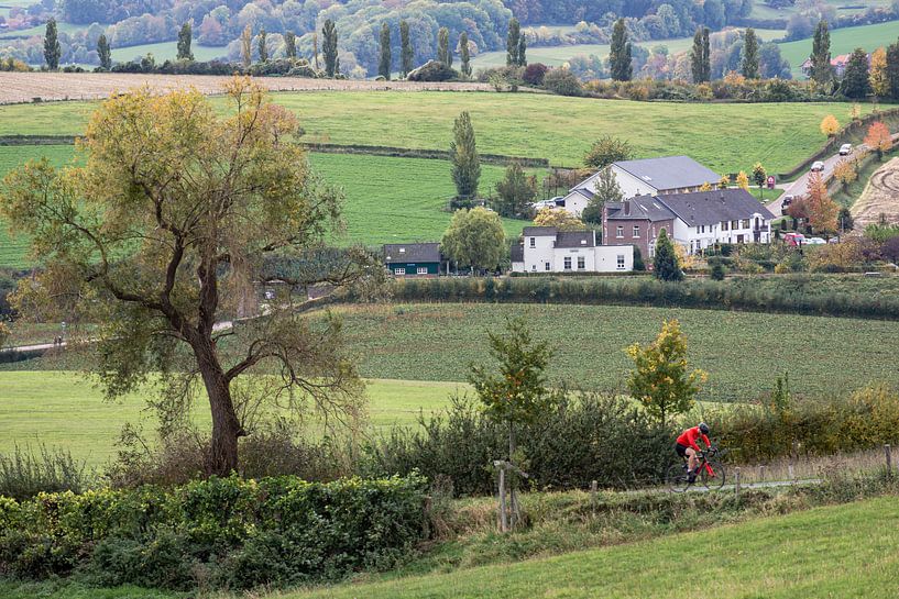 Hill country by rob creemers