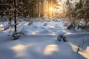 Un lever de soleil chaud dans un paysage enneigé sur Nando Harmsen