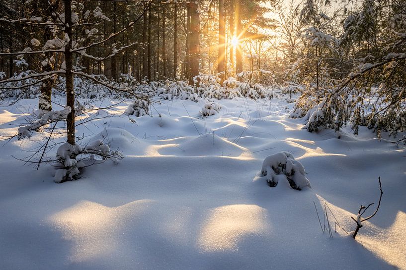 Een warme zonsopkomst in een sneeuwlandschap van Nando Harmsen