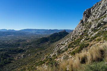 Versant de montagne et étendue bleue