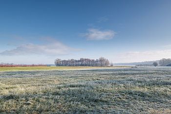 Nederlands landschap