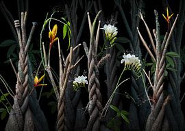 Jungle drumstick sur Olaf Bruhn