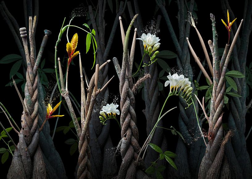 Jungle drumstick by Olaf Bruhn