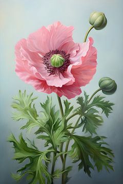 Large pink Poppy by But First Framing