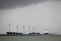 NIEUWE WATERWEG